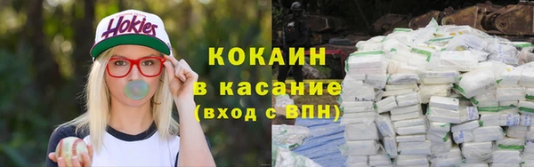 сатива Вязники