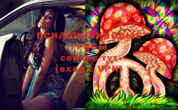сатива Вязники