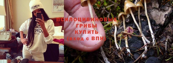 2c-b Вязьма