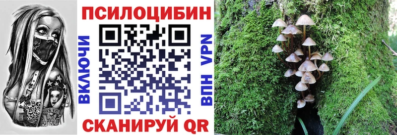 Галлюциногенные грибы Cubensis  Тбилисская 